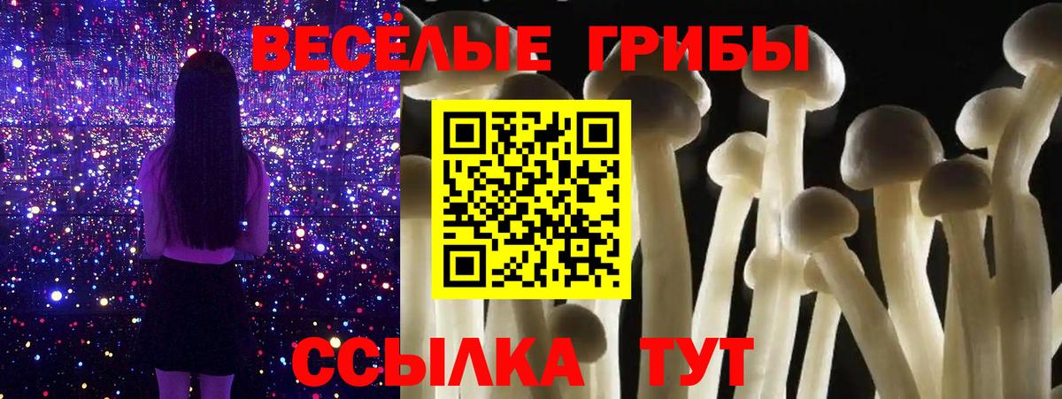 Ессентуки  Галлюциногенные грибы мухоморы  Вход с VPN 
