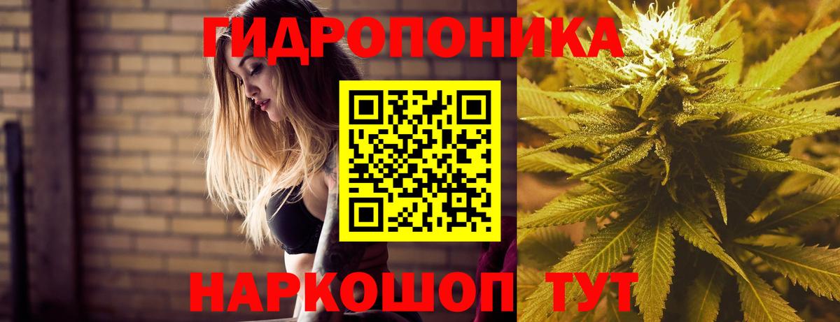 Бошки марихуана OG Kush  Вход с VPN  Ессентуки  Марихуана AK-47 